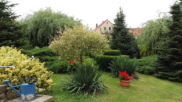 Rośliny małe i duże