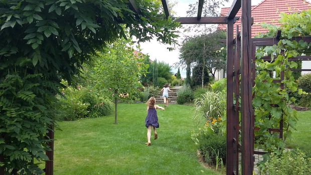 Rozległe trawniki zachęcają do biegania po całym ogrodzie