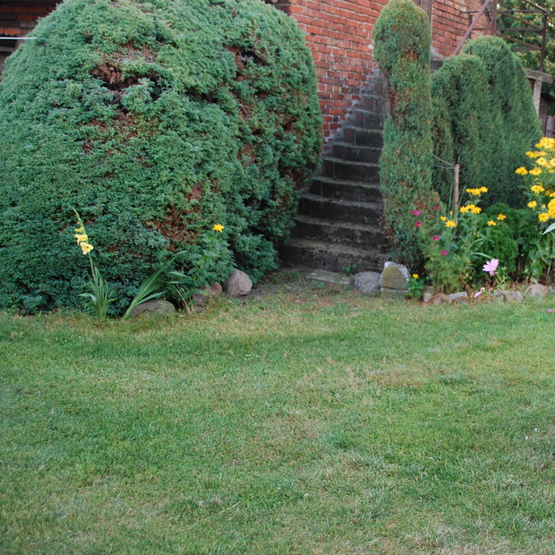 Schody do gołębnika