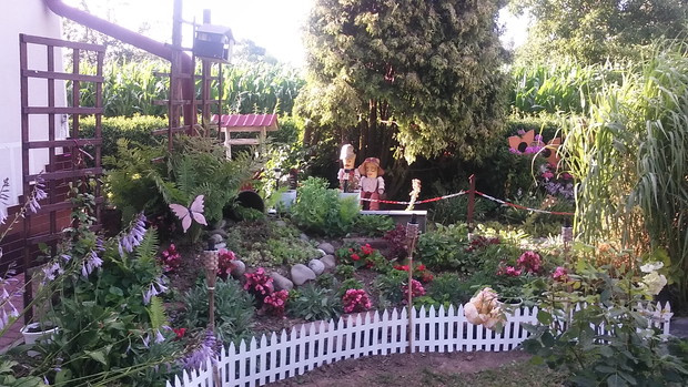 SKALNIAK PÓŹNYM LATEM