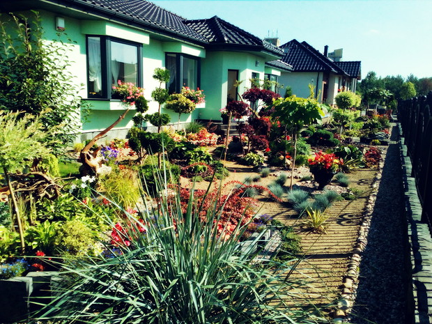 Stawiamy na kolor, obok kwiatów dodają go różne odcienie liści i ozdobne trawy