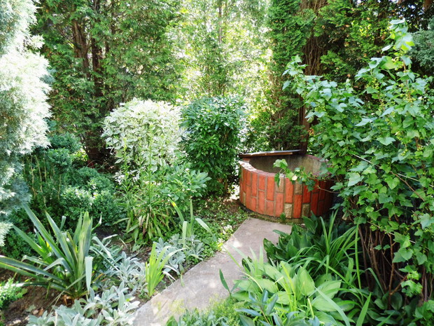 Studnia pośród zieleni.