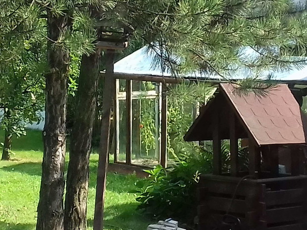 Szklarnia przy studni