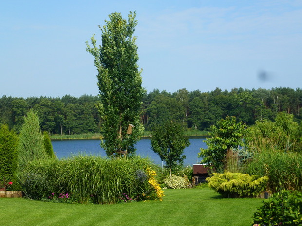 Trawnik schodzący łagodnie w stronę jeziora. 