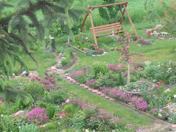 W lecie taki widok mamy z okien naszego domu.