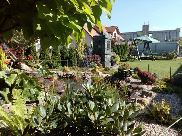 W pełni lata dodatkowo licznie odwiedzają nas różne gatunki ptaków, by zaspokoić swoje pragnienie i umyć zakurzone piórka.