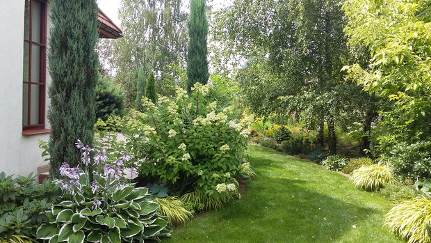 W pobliżu tarasu nie mogło zabraknąć naszych ulubionych brzóz