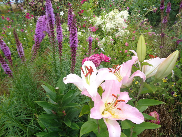 W świecie przyrody pędzla nie potrzeba. 