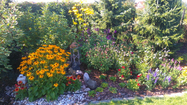 W tej części trzmiele i pszczoły mają prawdziwy porzytek