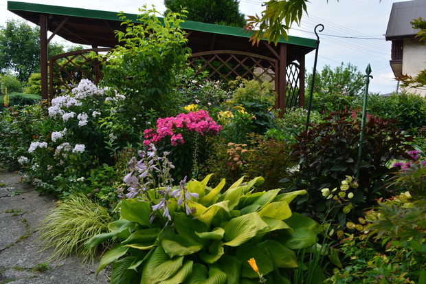 wiata na samochód ukryta wsród zieleni