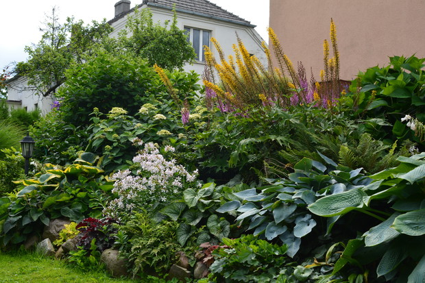 widok na dom sąsiada