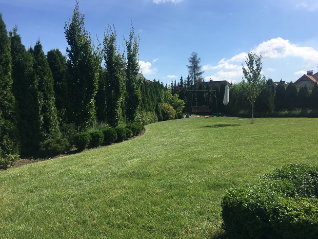 widok na obszerny trawnik ulubione miejsce zabaw