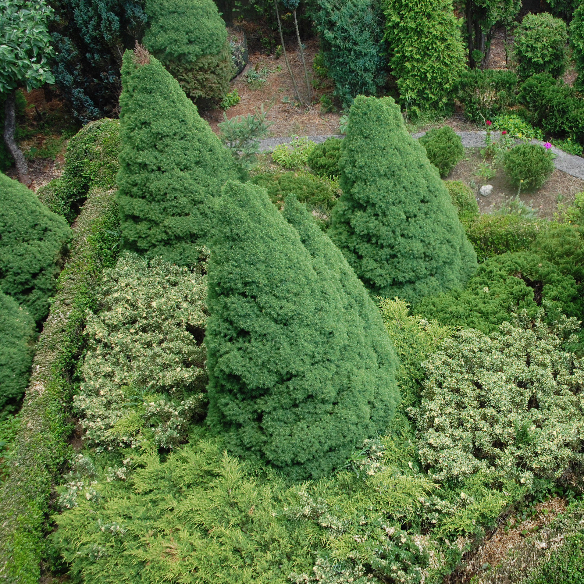 Widok z lotu ptaka - część ogrodu.