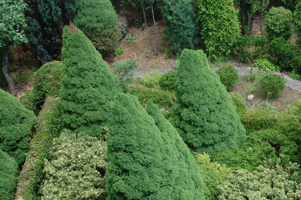 Widok z lotu ptaka - część ogrodu.