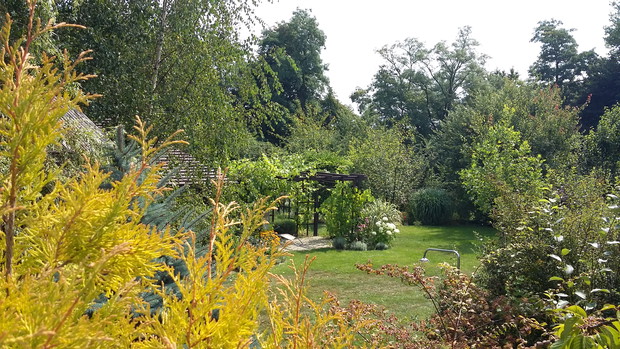 Widok ze skarpy na dolną część ogrodu