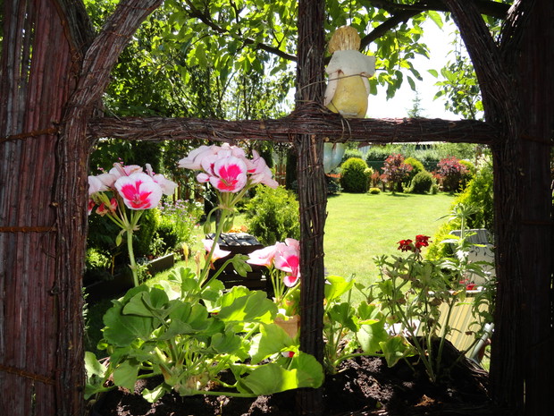 Wiklinowe okno na mój ogrodowy świat