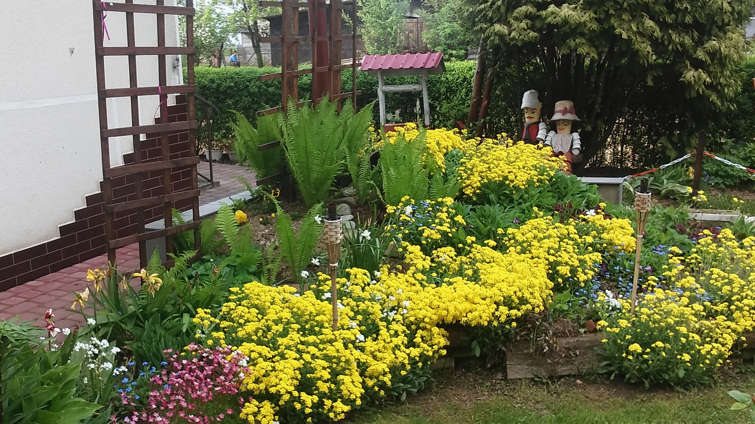 WIOSENNE BARWY NA SKALNIAKU