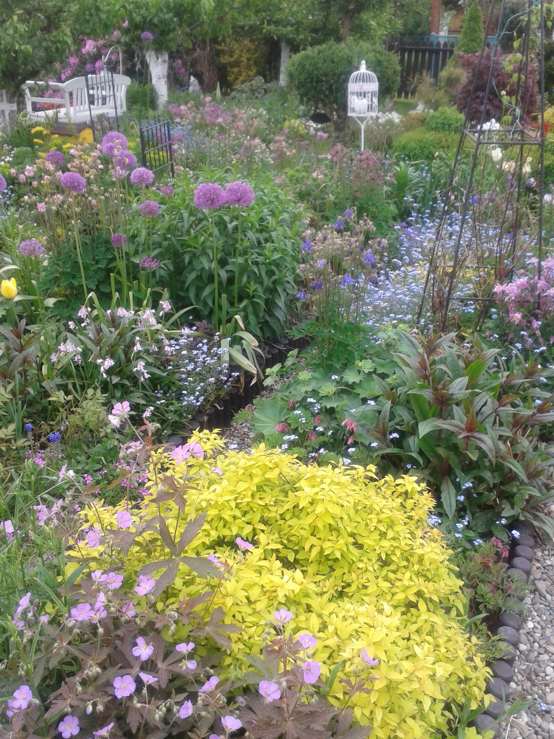 Wiosna, ach ! To TY !