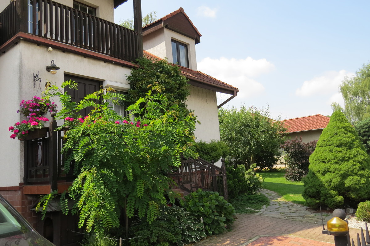 Witamy w ogrodzie! Tuż przy wejściu rośnie kilkuletni świerk biały, którego regularny pokrój sprawia, że świetnie nadaje się na choinkę. Lampki, które na nim wiszą nie są zdejmowane po zimie, dlatego gdy chcemy mieć już święta – wystarczy pstryknąć