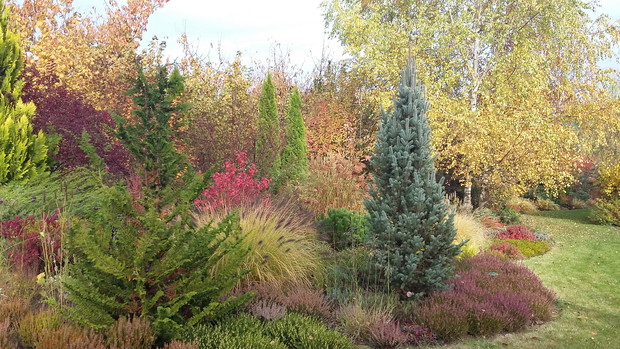 Wrzosowisko późną jesienią przypomina impresjonistyczny obraz