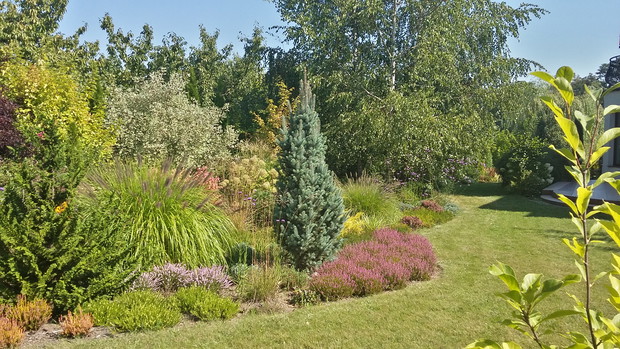 Wrzosowisko późnym latem