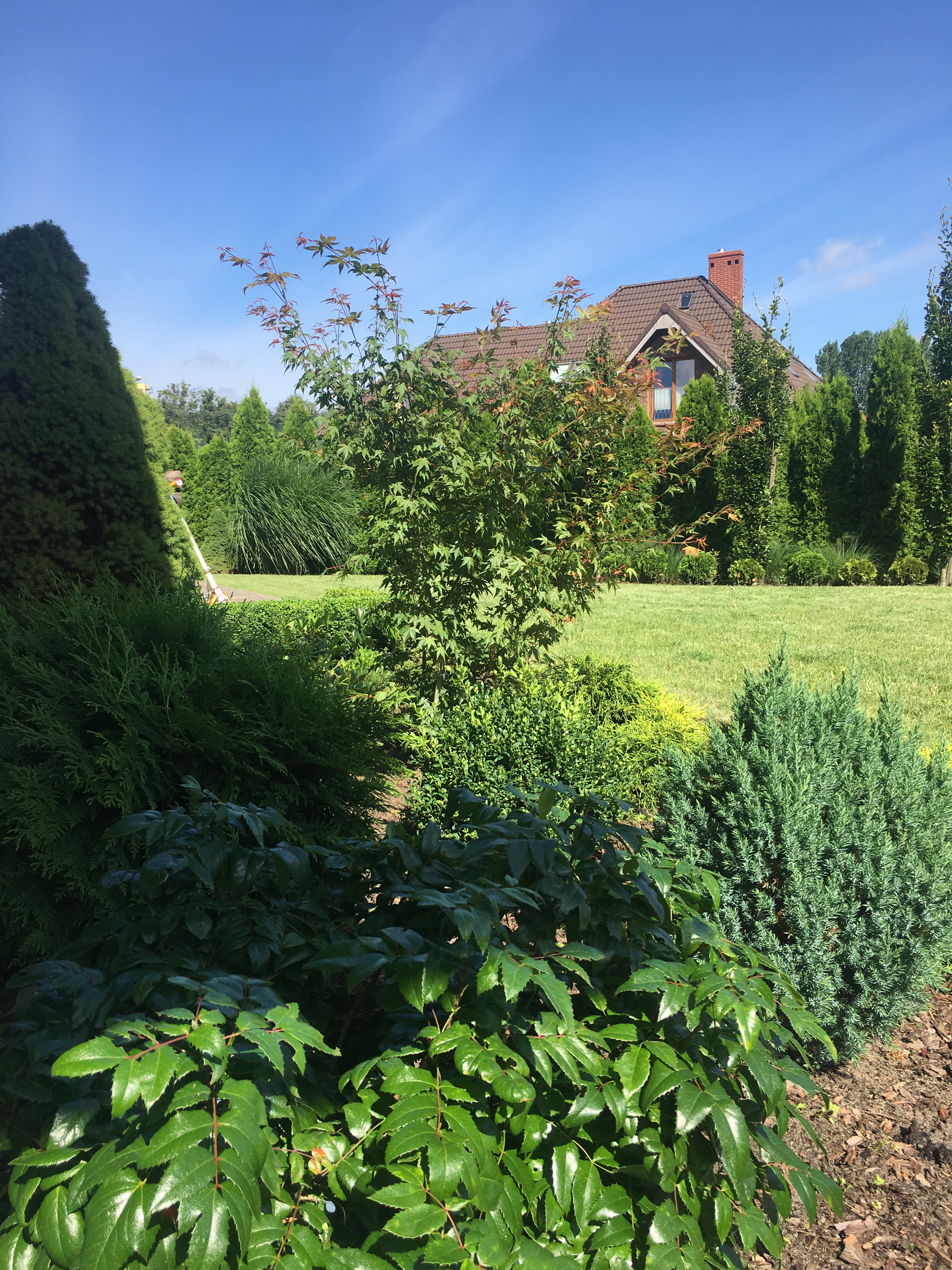 zacieniona rabata pod domem 