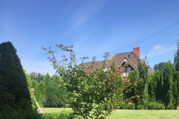 zacieniona rabata pod domem