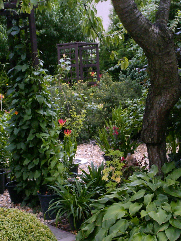 Zakątek w którym trawnik zamieniono na rabatę żwirową