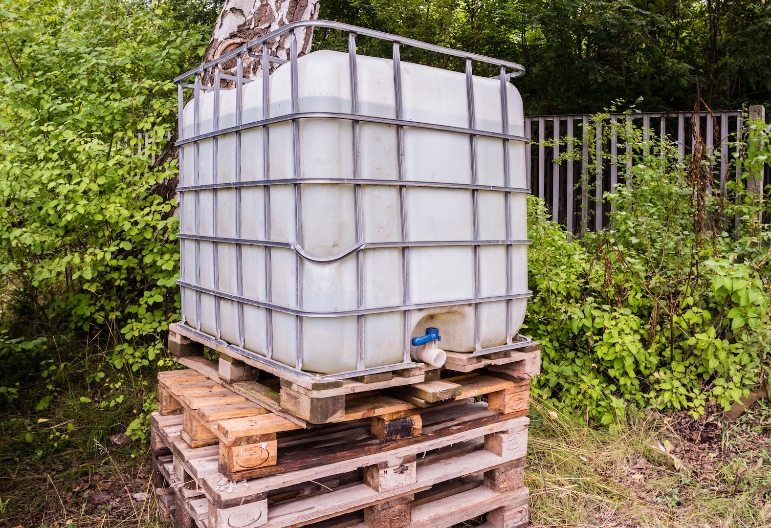 Zbiornik na deszczówkę zdecydowanie ułatwia pracę na np. działkach bez wywierconej studni głębinowej (zdj.: Fotolia.com)