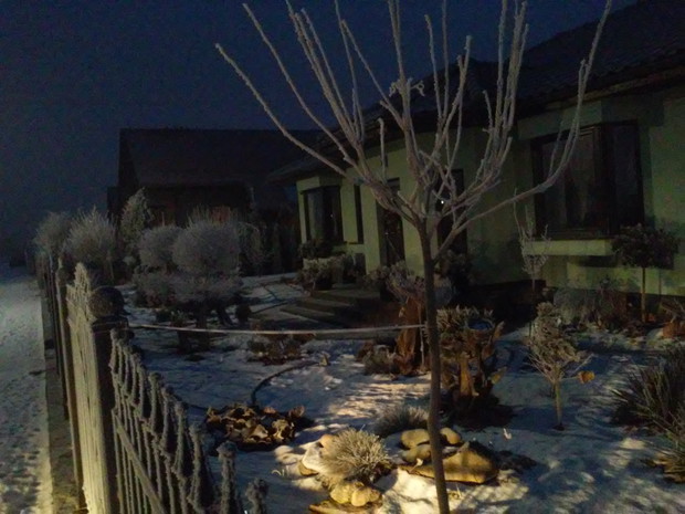 Zimą ogród stroi się w białe szaty