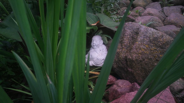 Budda przy oczku wodnym 