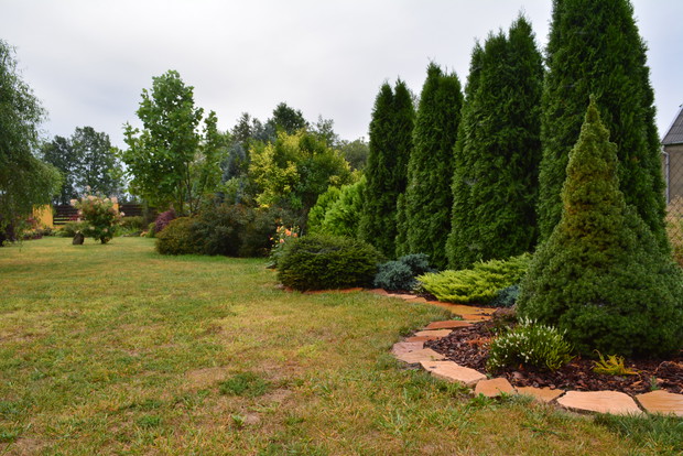 Część, na której rosną krzewy odgrodzony od trawnika betonowymi płytami. 