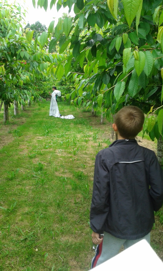 Duch czy biała dama?Oto jest pytanie.
