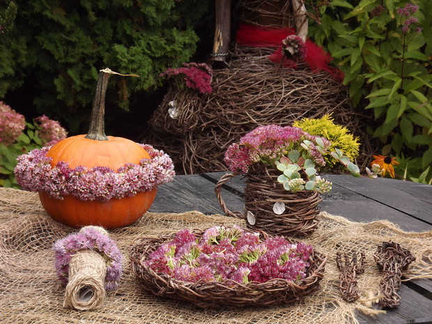 Dynia i rozchodnik w roli głównej - inspiracje.