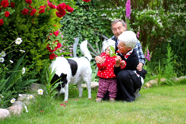 Dziadkowie z wnusią