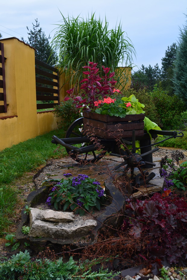 Dzięki pracy konserwatorskiej udało się dać drugie życie bardzo starego wozu drewnianego, który spełnia się teraz jako kwietnik 