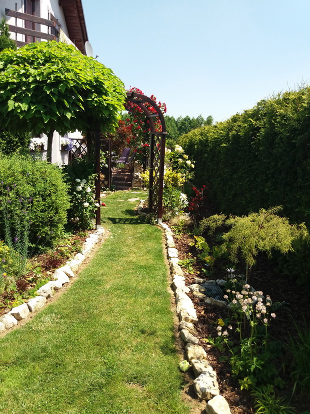 Jedna z trzech pergoli, uwielbiam przejścia gęsto porośnięte przez powojniki i róże