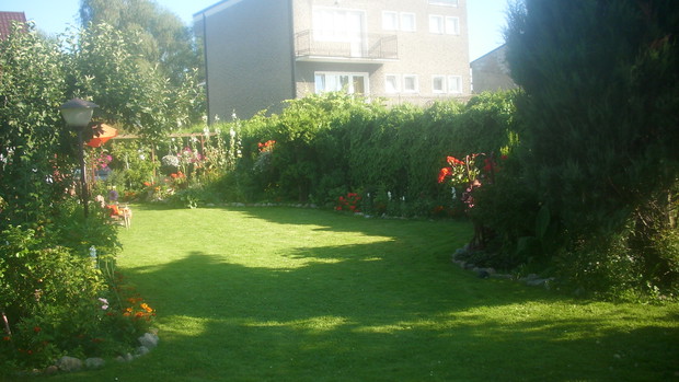 jest trawa mozna i pobiegać