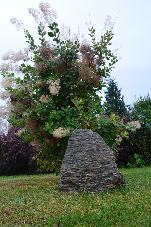 Kamienie tworzą ważny element mojego ogrodu