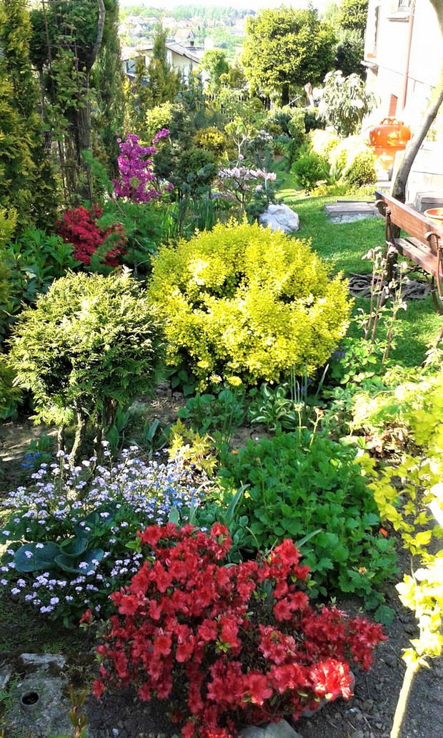 kolorowy zawrót głowy