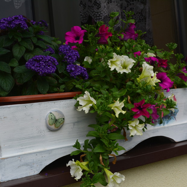 Kwiaty w ręcznie wykonanych donicach.