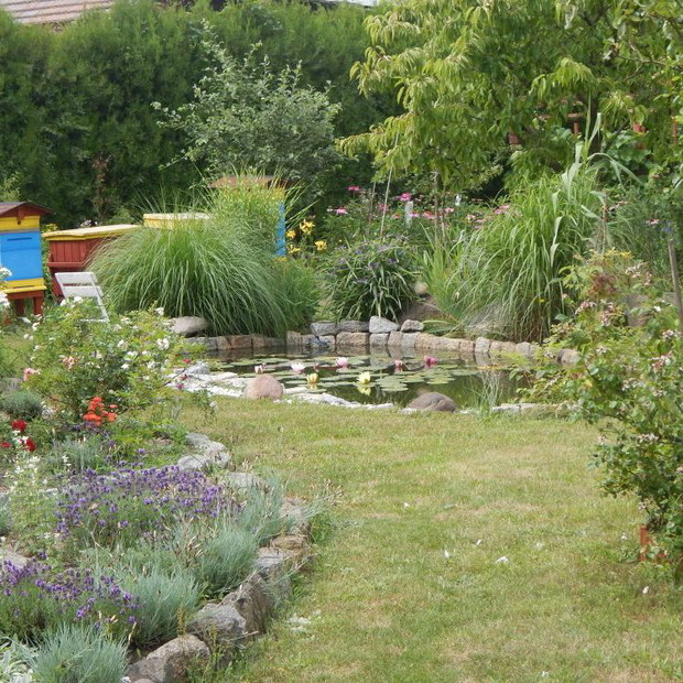 Lawenda , ule i oczko wodne  