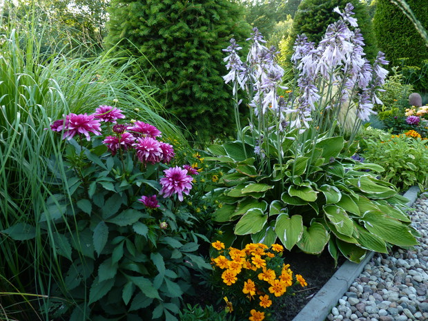 Letnia rabata z daliami