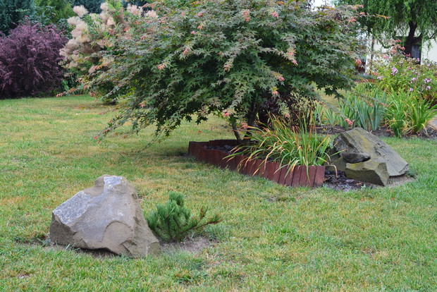 Małe rabaty tworzą oryginalne wysepki na trawniku