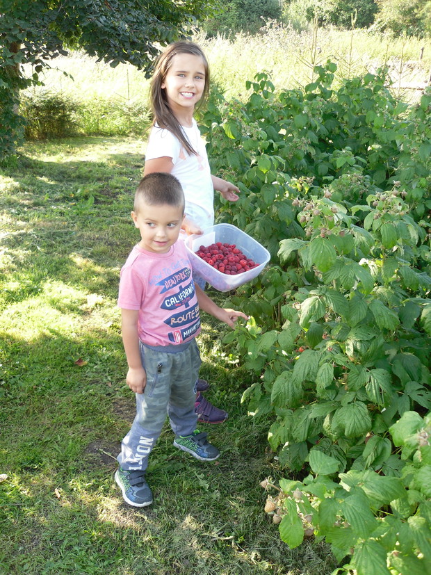 Malinki z Malinnika :-)