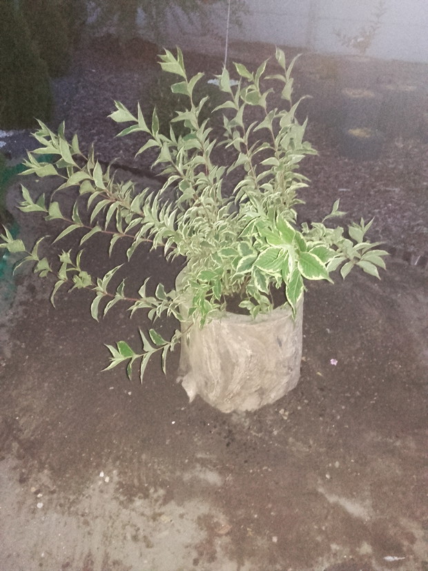 Mój kolejny wymysł