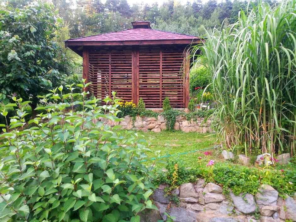  Mój ogród to... oaza zieleni, co na pustyni miasta kolorem się mieni.