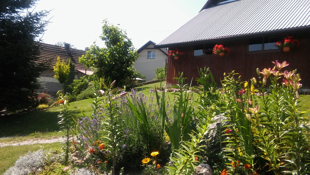 Na środku Misz masz mamy Małgosi ;)