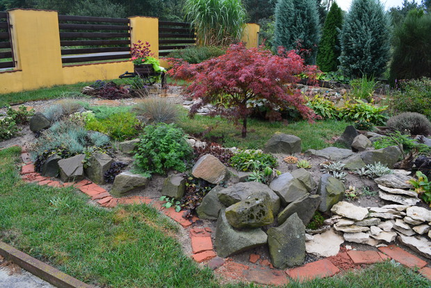 Ogródek skalny tworzy pierwszy plan, a za nim oczko. 