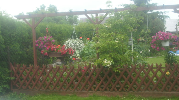 płotek i pergola 